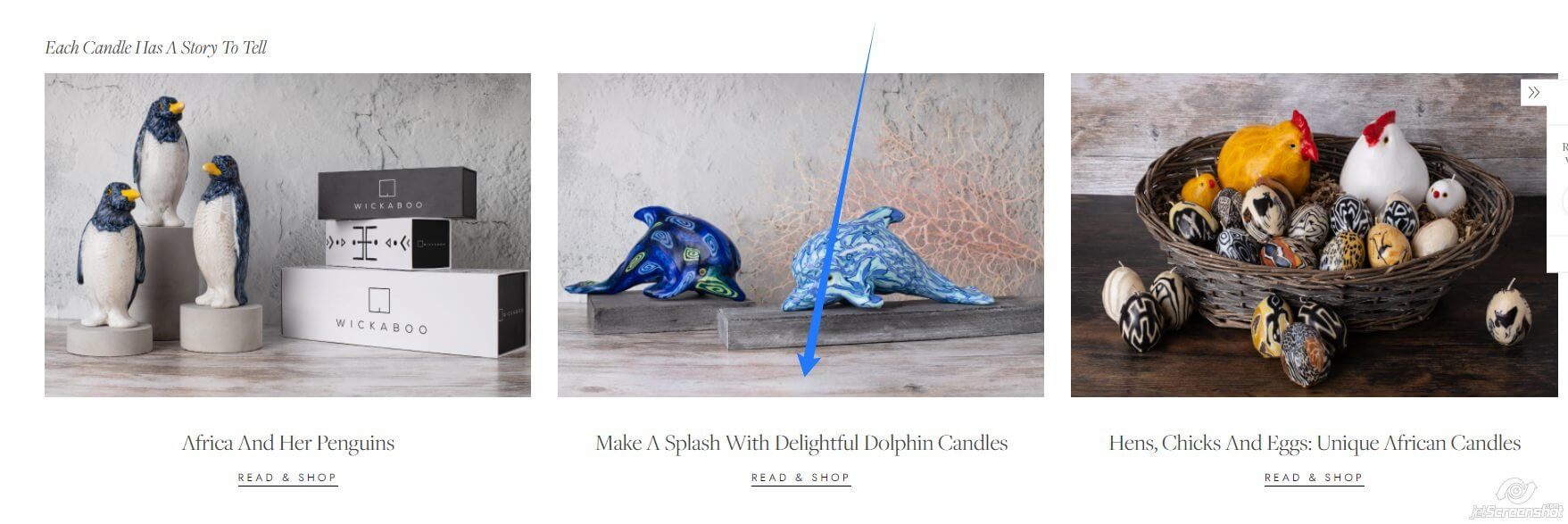 Dolphins Page Collection-Read & Shop | Wickaboo